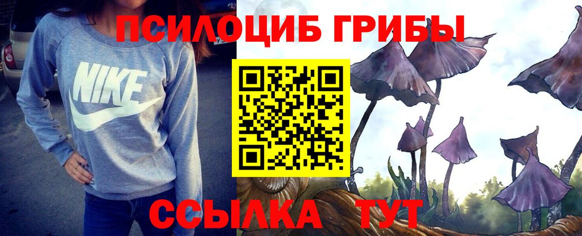 Галлюциногенные грибы прущие грибы Новодвинск