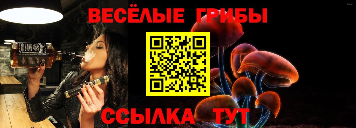 Псилоцибиновые грибы Cubensis  Псилоцибиновые грибы ЛСД  сколько стоит  Вход с VPN  Новодвинск 