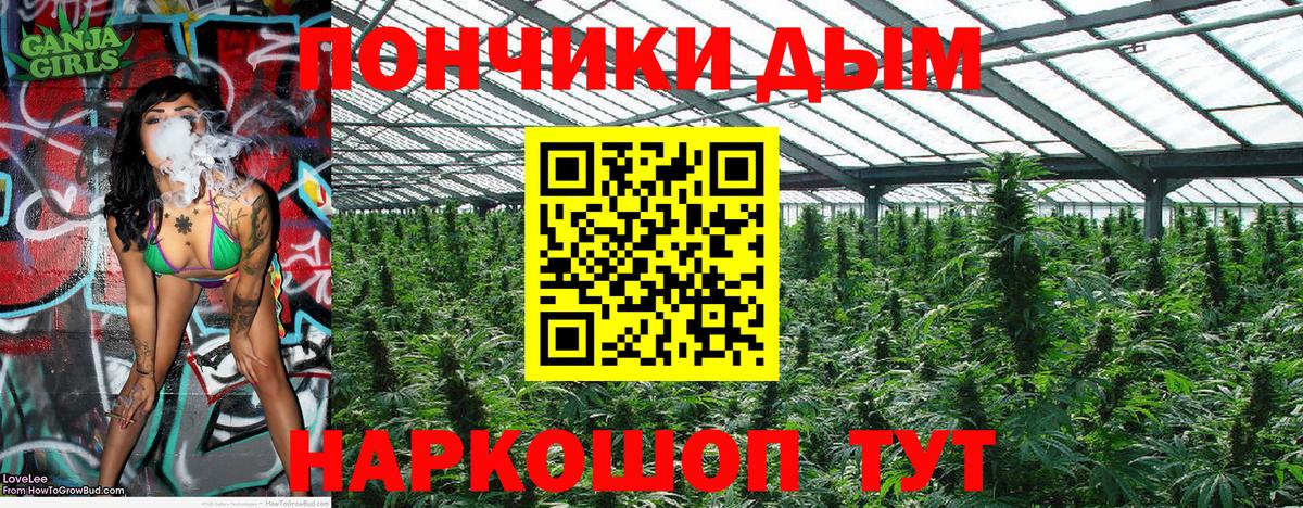 Канабис MAZAR  Канабис гибрид  Марихуана индика  Новодвинск  Вход с VPN  Бошки Шишки Amnesia 